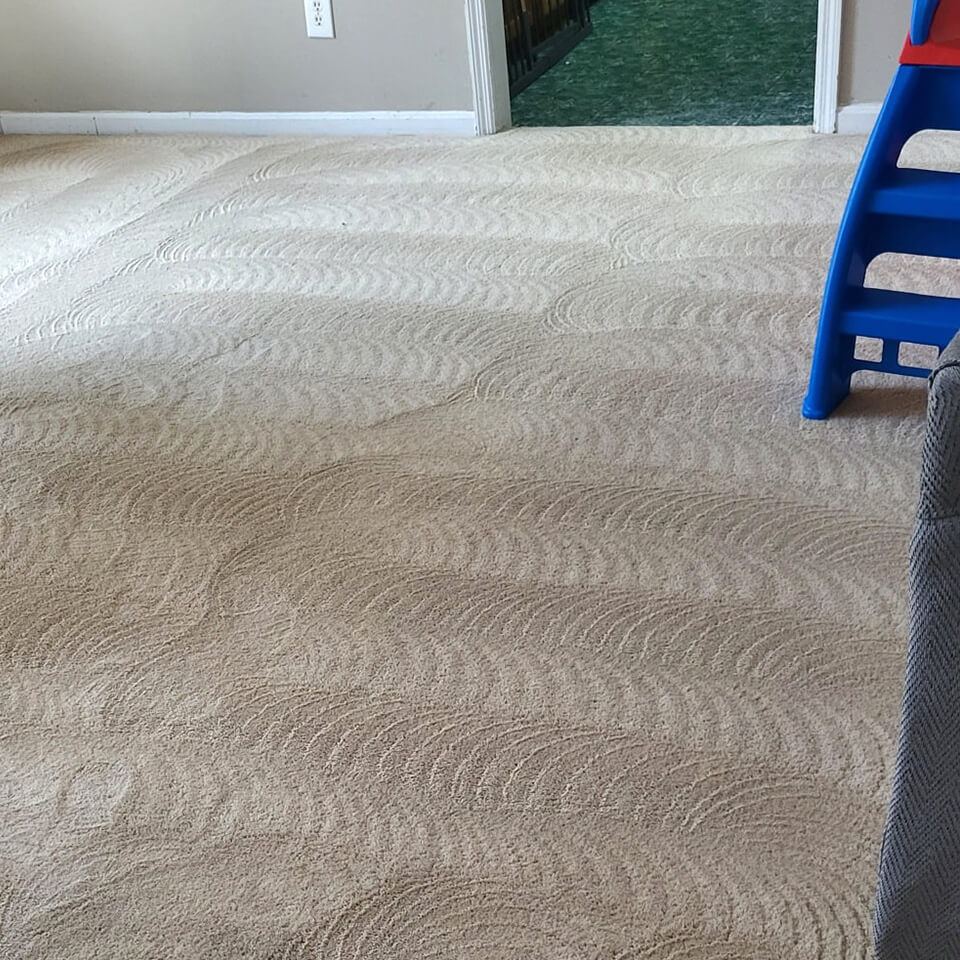 Mean Steam Carpet Cleaning