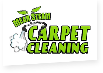 Mean Steam Carpet Cleaning