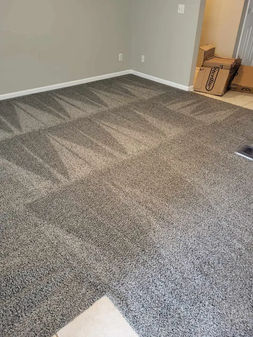 Mean Steam Carpet Cleaning